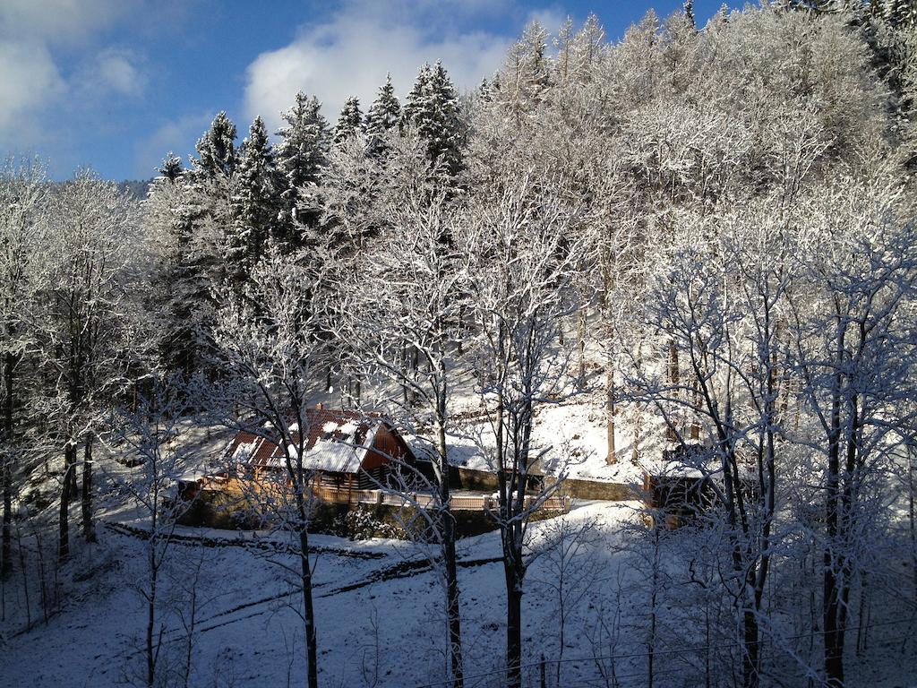 Chata Hokejka Rokytnice nad Jizerou Dış mekan fotoğraf
